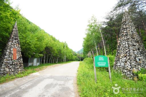 67. 삼봉자연휴양림