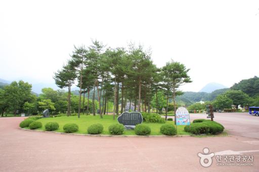 16. 용문산관광지