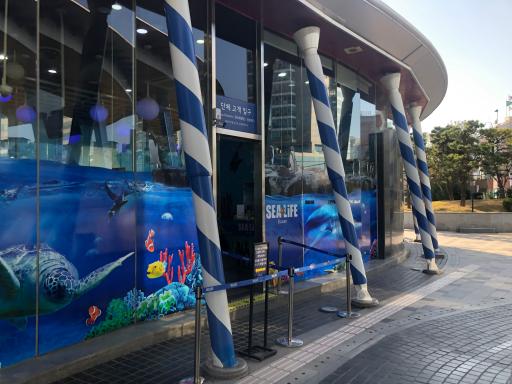 11. SEA LIFE 부산아쿠아리움