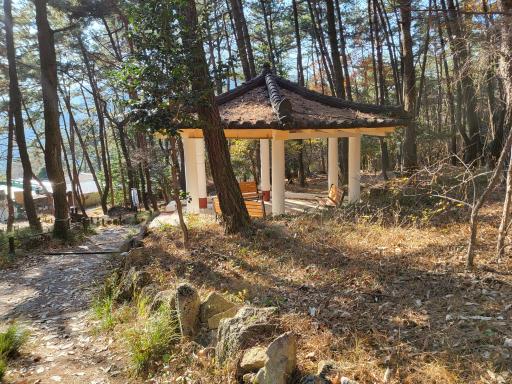금산
