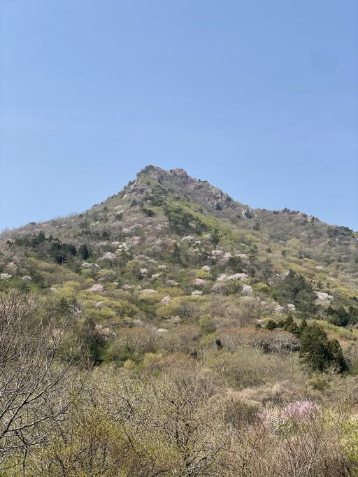 영취산