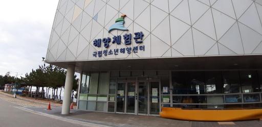 국립청소년해양센터해양체험관