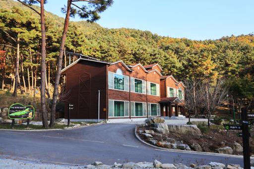 163. 대봉산자연휴양림