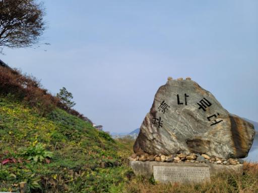 이포나루터