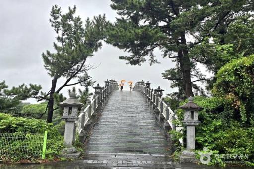 선임교