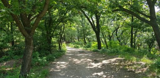 호암산성