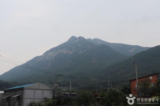 포암산