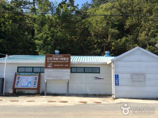 신리어촌체험휴양마을