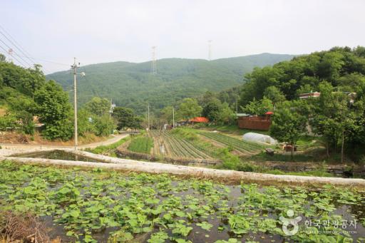 생거진천화랑촌