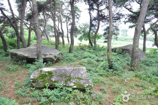 용월리지석묘군