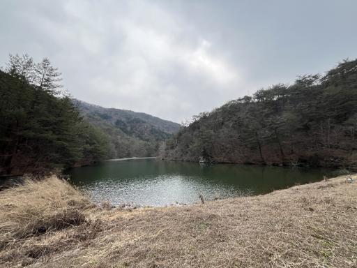 화학산