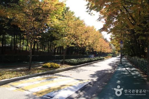 봉화산