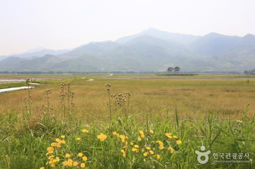 평사리들판