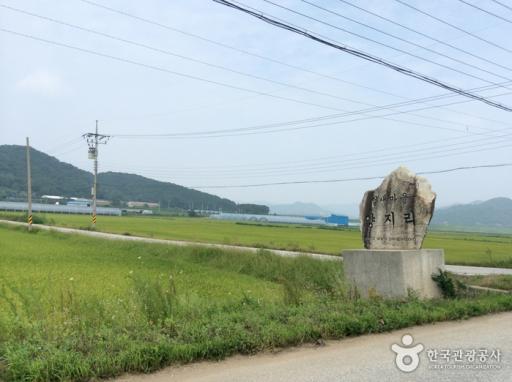 철새도래지