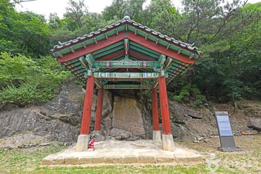 진천태화4년명마애여래입상
