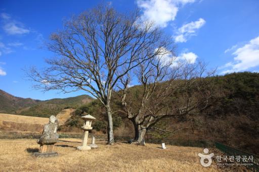 합천백암리석등