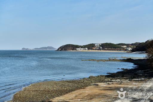9. 영흥도