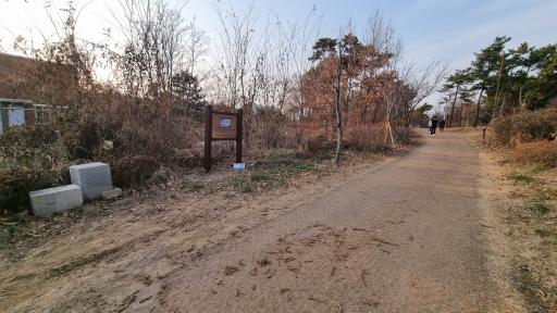 154. 세계평화의숲
