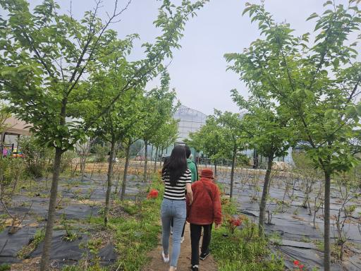 한지이야기