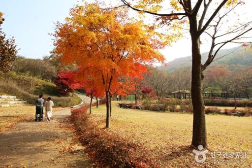만뢰산