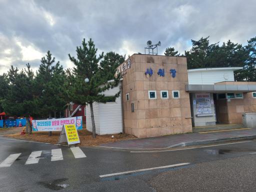 31. 망상제2오토캠핑장