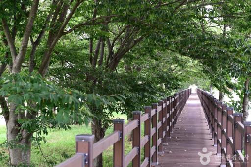 화순동복연둔숲정이