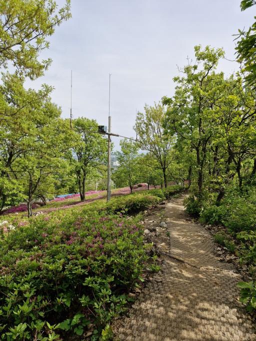 월롱산