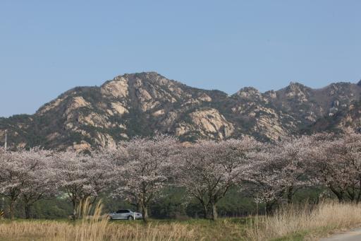 월출산
