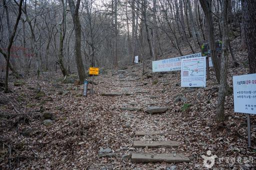 유명산