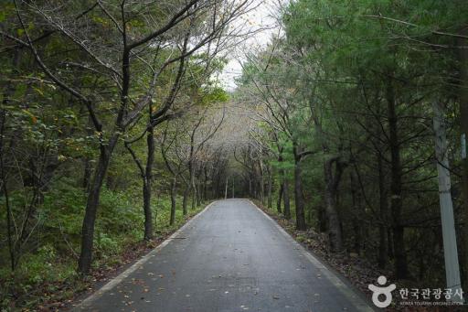 가제산