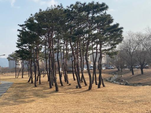 빛가람호수공원