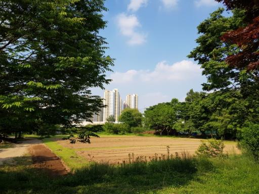 무궁화동산