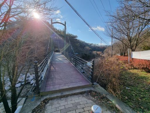 배꼽다리