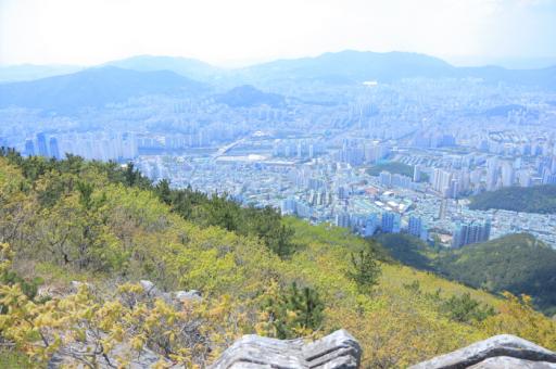 장산