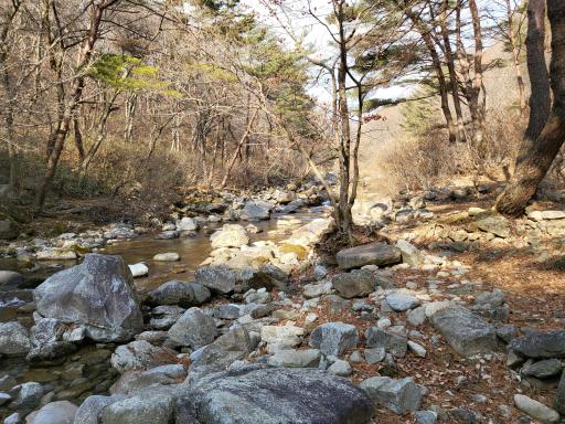 98. 용추계곡