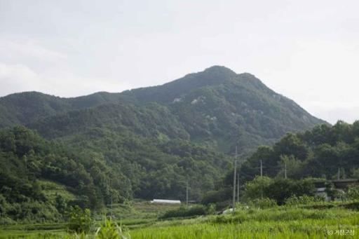 보해산