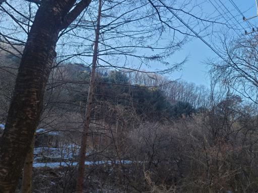 중미산
