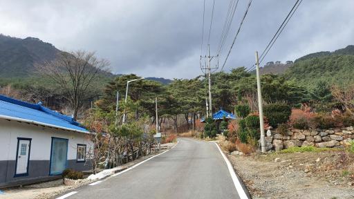 흥터유원지