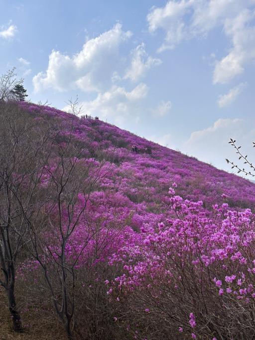 천주산