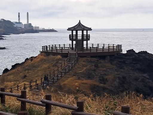 닭머르