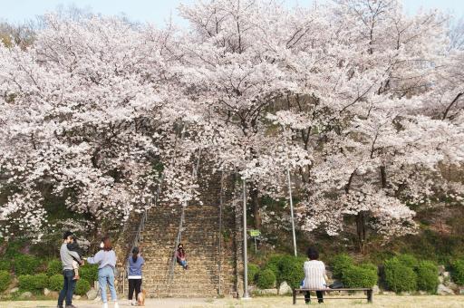 침산공원