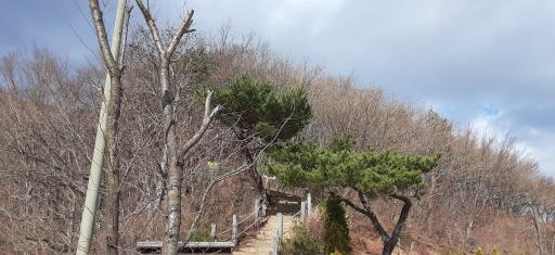 배내봉
