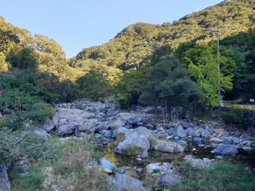 안선장