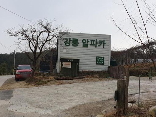 대관령아기동물농장