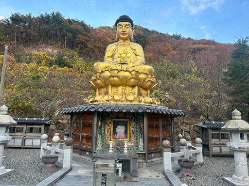 백천사약사와불
