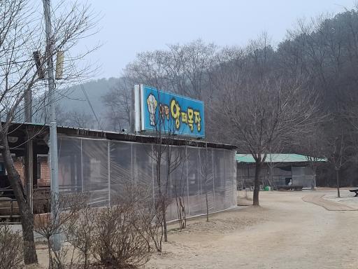 양평양떼목장