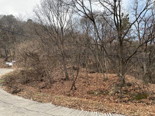 흑성산