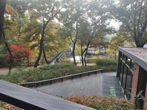 불암산나비정원