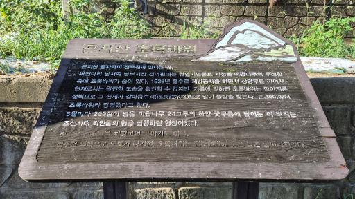 초록바위
