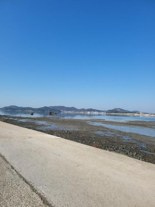 송지대죽리조개잡이체험장